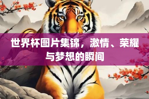 世界杯图片集锦，激情、荣耀与梦想的瞬间