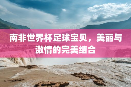 南非世界杯足球宝贝，美丽与激情的完美结合