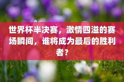 世界杯半决赛，激情四溢的赛场瞬间，谁将成为最后的胜利者？洛阳市法福文化传播有限公司