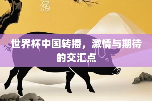 世界杯中国转播，激情与期待的交汇点