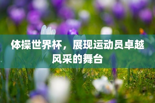 体操世界杯，展现运动员卓越风采的舞台