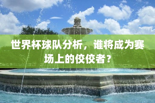 世界杯球队分析，谁将成为赛场上的佼佼者？