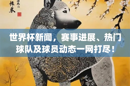 世界杯新闻，赛事进展、热门球队及球员动态一网打尽！
