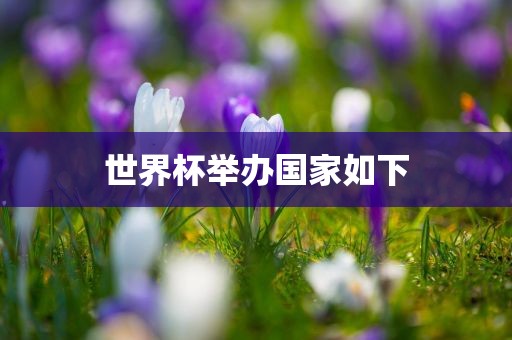 世界杯举办国家如下