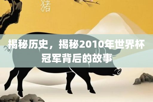 揭秘历史，揭秘2010年世界杯冠军背后的故事