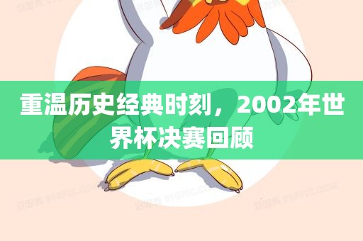 重温历史经典时刻，2002年世界杯决赛回顾