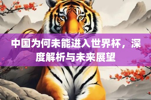 中国为何未能进入世界杯，深度解析与未来展望