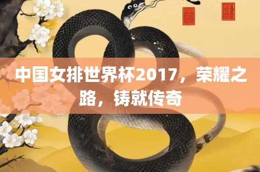 中国女排世界杯2017，荣耀之路，铸就传奇