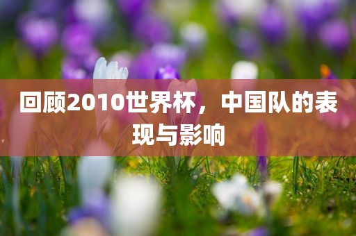 回顾2010世界杯，中国队的表现与影响