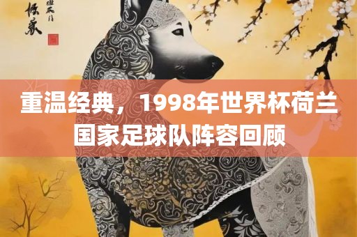 重温经典，1998年世界杯荷兰国家足球队阵容回顾洛阳市法福文化传播有限公司