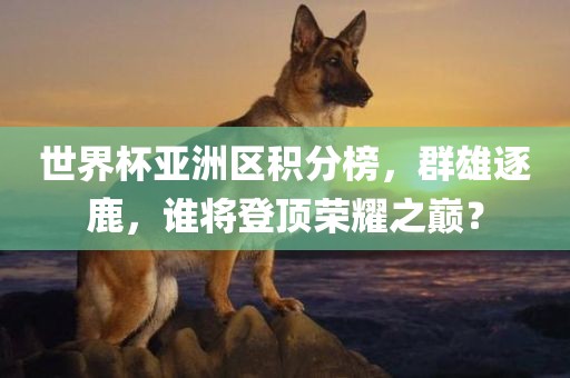 世界杯亚洲区积分榜，群雄逐鹿，谁将登顶荣耀之巅？