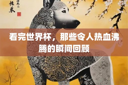 看完世界杯，那些令人热血沸腾的瞬间回顾洛阳市法福文化传播有限公司