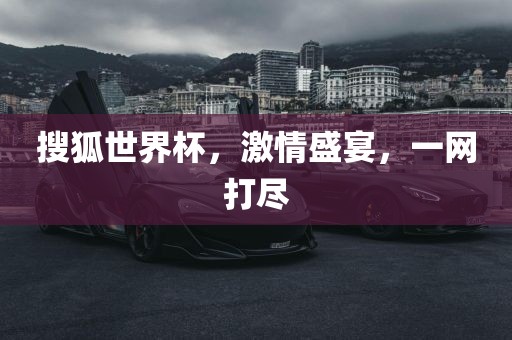 搜狐洛阳市法福文化传播有限公司世界杯，激情盛宴，一网打尽