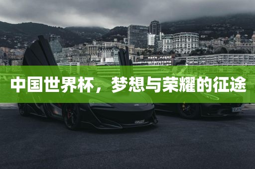 世界杯直播无法观看？解决方法大解析