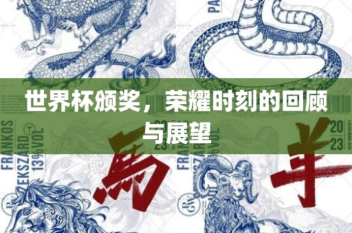 世界杯颁奖，荣耀时刻的回顾与展望洛阳市法福文化传播有限公司
