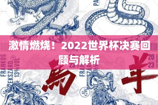 激情燃烧！2022世界杯决赛回顾与解析洛阳市法福文化传播有限公司