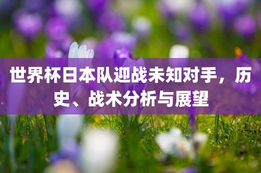 世界杯日本队迎战未知对手，历史、战术分析与展望