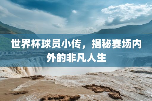 世界杯球员小传，揭秘赛场内外的非凡人生