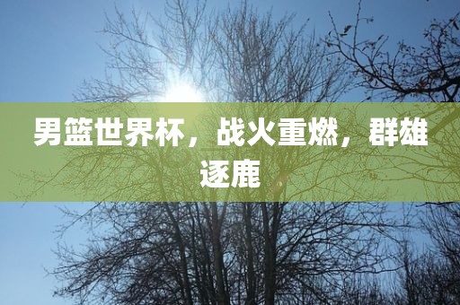 男篮世界杯，战火重燃，群雄逐鹿