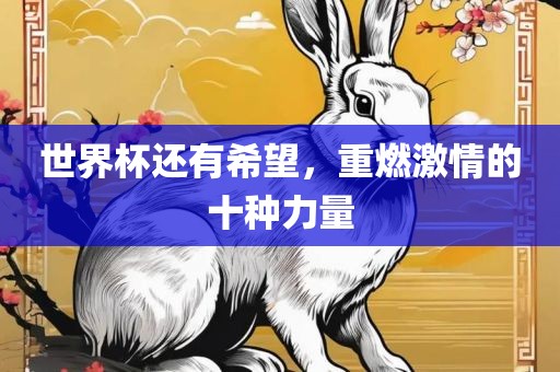 世界杯还有希望，重燃激情的十种力量洛阳市法福文化传播有限公司