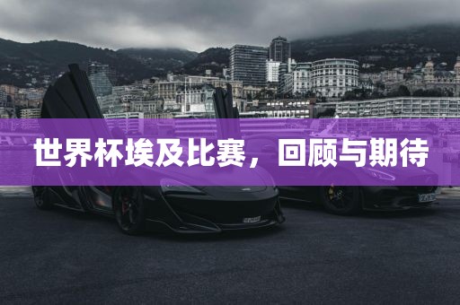 世界杯埃及比赛，回顾与期待