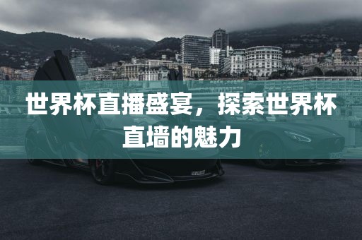 世界洛阳市法福文化传播有限公司杯直播盛宴，探索世界杯直墙的魅力