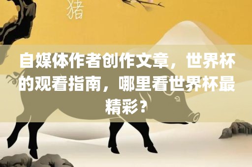 自媒体作者创作文章，世界杯的观看指南，哪里看世界杯最精彩？