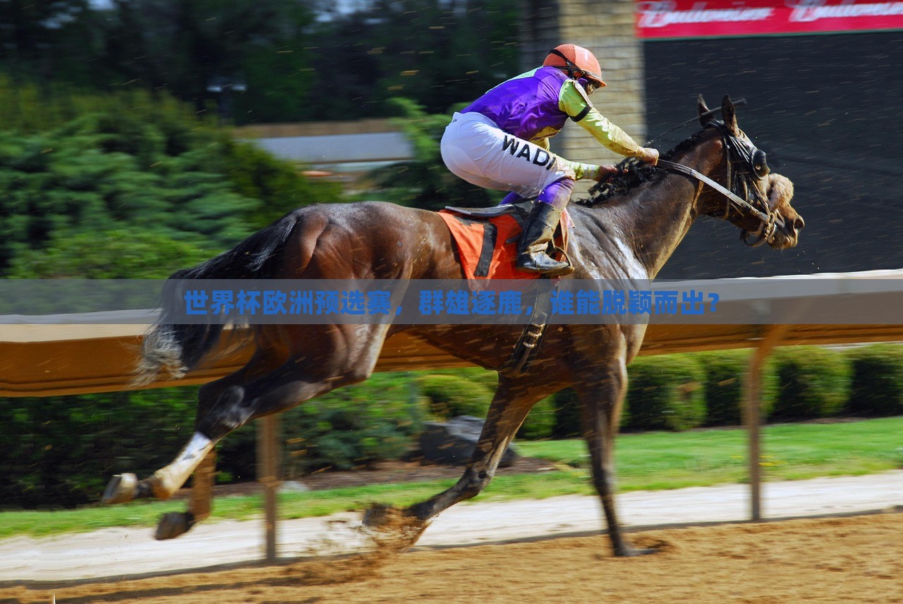 世界杯欧洲预选赛，群雄逐鹿，谁能脱颖而出？